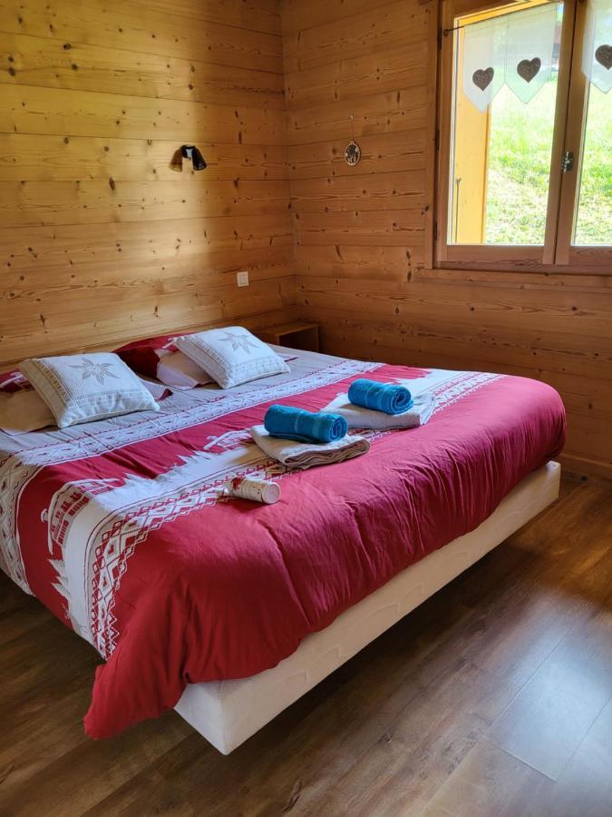 Willa La Petite Anfiane Le Grand-Bornand Zewnętrze zdjęcie